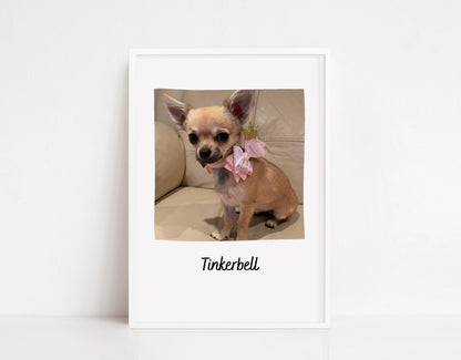 Pet Print | Photo Print | Family Print | Pet Gift | Personalised Print