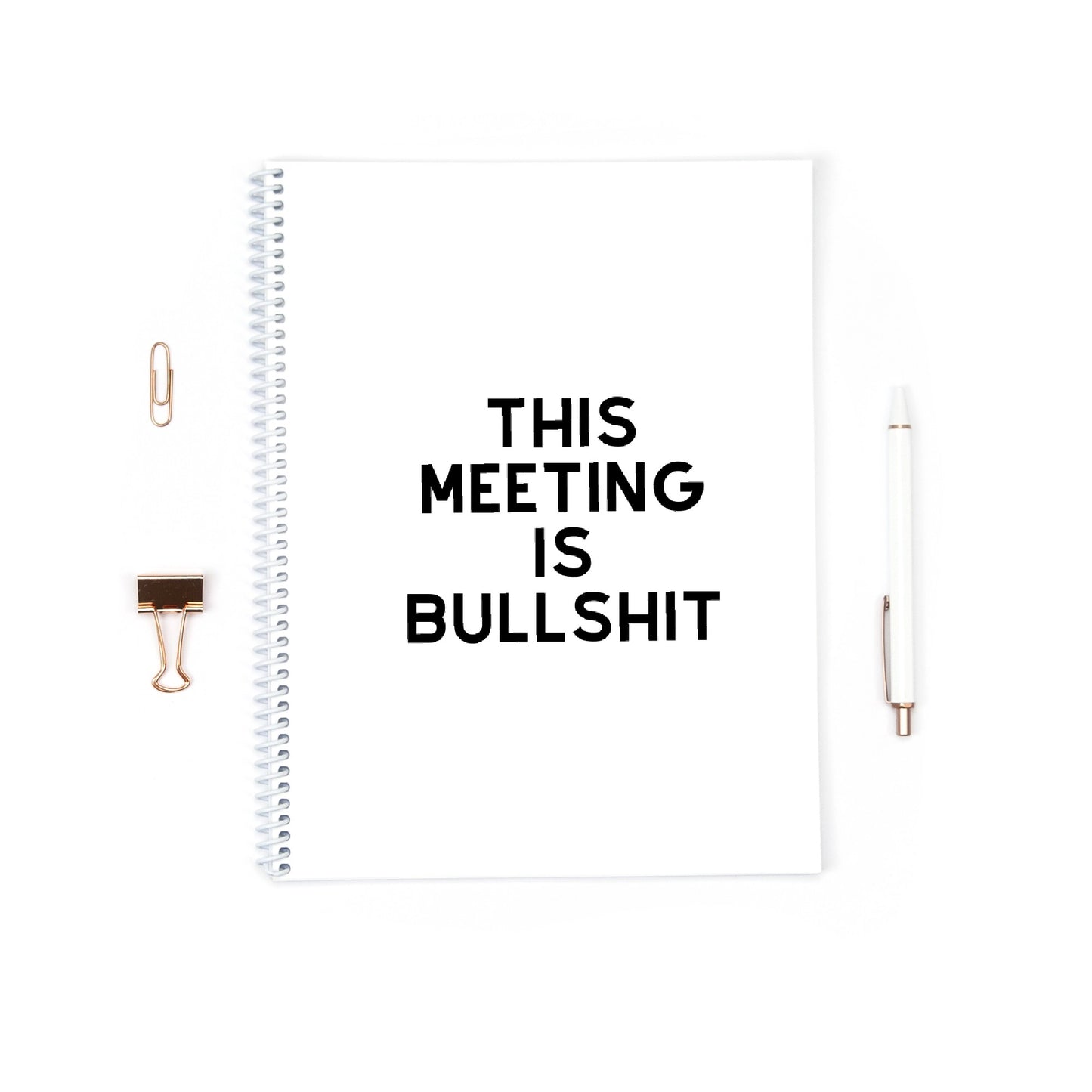 Work Notebook | This Meeting Is Bullshit | Funny Notebook