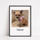 Pet Print | Photo Print | Family Print | Pet Gift | Personalised Print