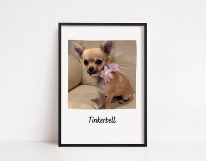 Pet Print | Photo Print | Family Print | Pet Gift | Personalised Print