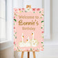 Premium Swan Welcome Board Sign | Personalised Swan  Birthday Board | Birthday Party Sign | Party Décor | Pink Swan Party Theme | A4, A3, A2
