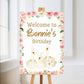 Premium Swan Welcome Board Sign | Personalised Swan  Birthday Board | Birthday Party Sign | Party Décor | Pink Swan Party Theme | A4, A3, A2