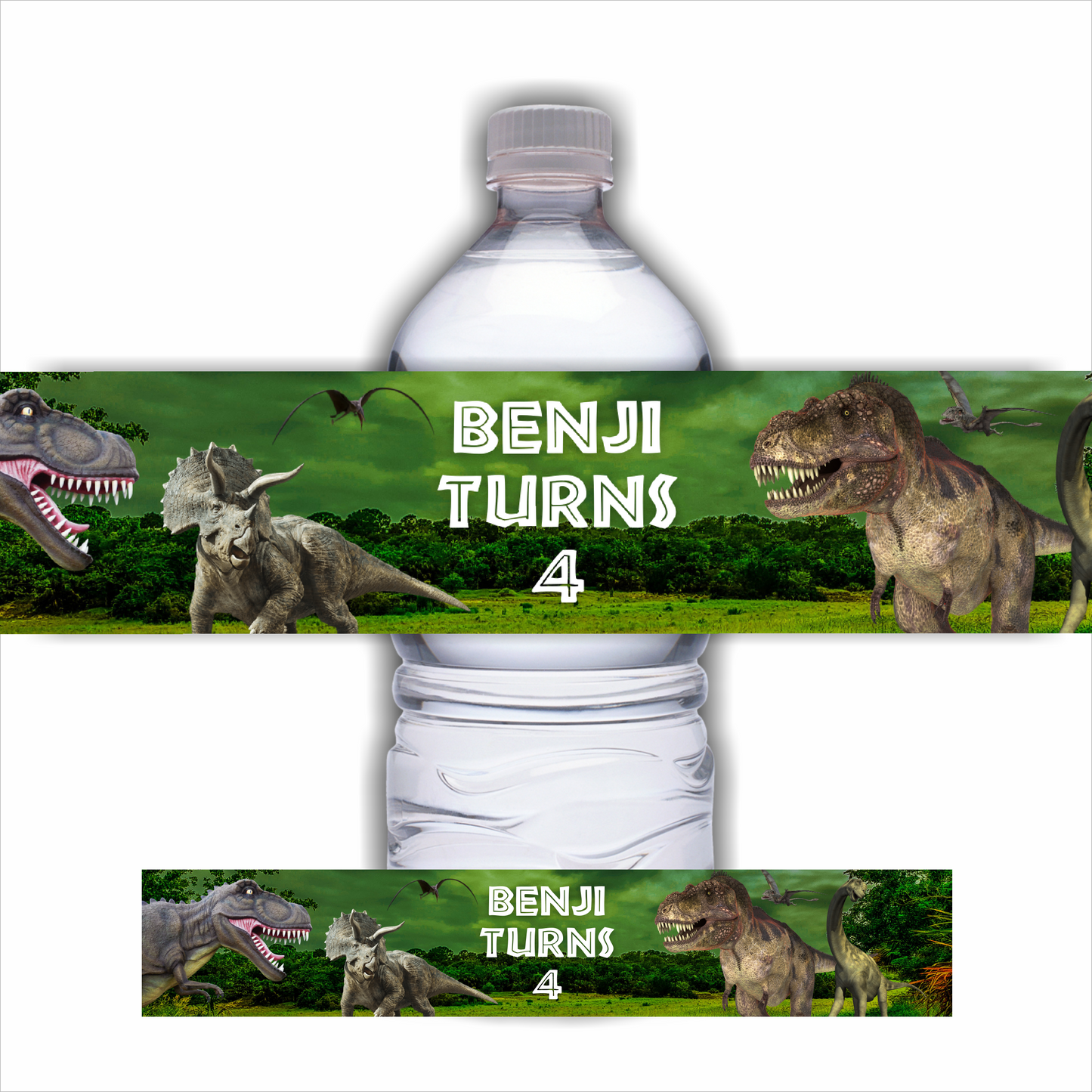 Juice Bottle Labels | Dinosaur Labels | Water Bottle Stickers | Dinosaur Party | Party Stickers