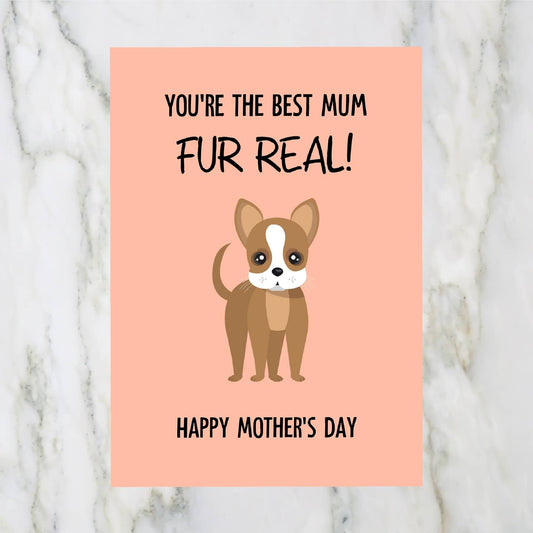 Mothers Day Card | You're The Best Mum, Fur Real! | Cute Dog Mum Card