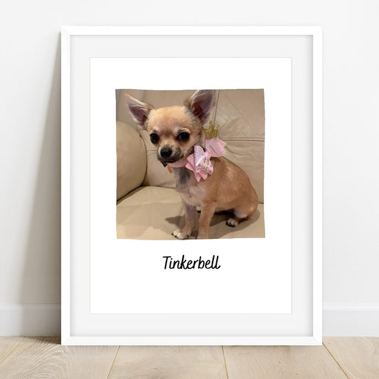 Pet Print | Photo Print | Family Print | Pet Gift | Personalised Print