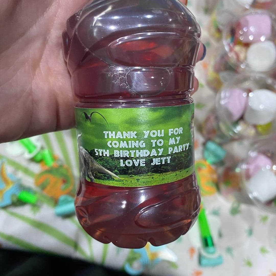 Juice Bottle Labels | Dinosaur Labels | Water Bottle Stickers | Dinosaur Party | Party Stickers